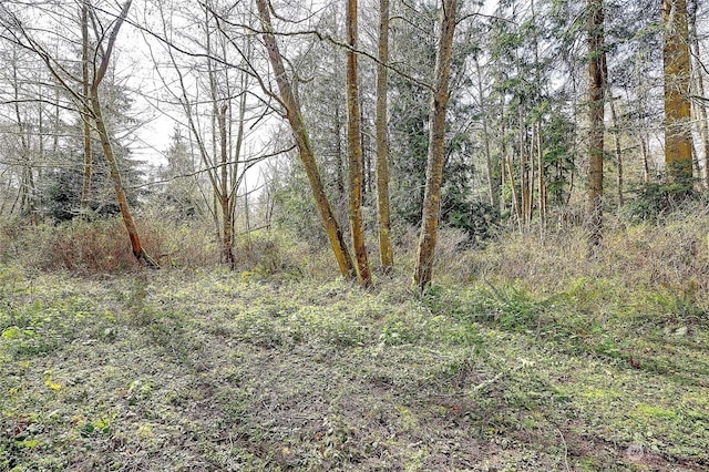 1802 Amber View Pl, Camano Island, WA 98282
