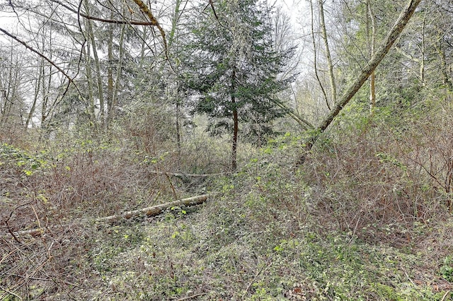 1802 Amber View Pl, Camano Island, WA 98282