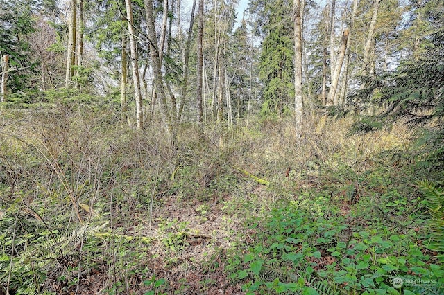 1802 Amber View Pl, Camano Island, WA 98282