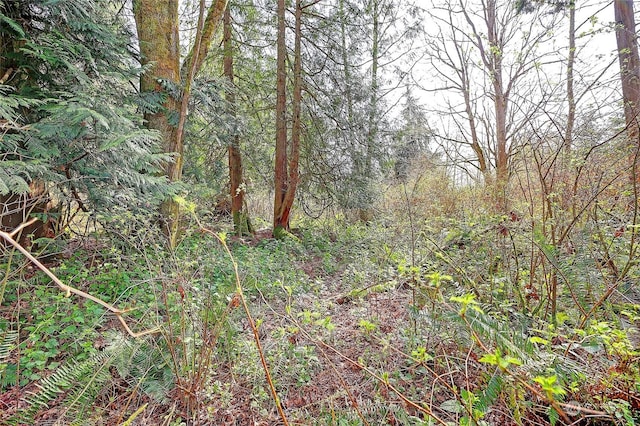 1802 Amber View Pl, Camano Island, WA 98282