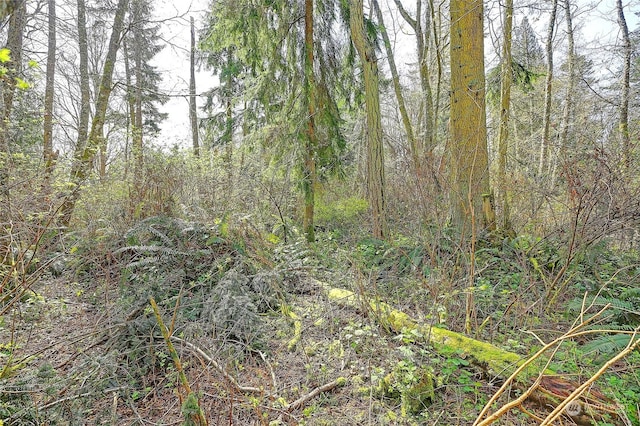 1802 Amber View Pl, Camano Island, WA 98282