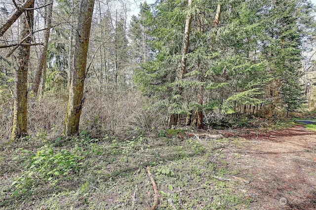 1802 Amber View Pl, Camano Island, WA 98282