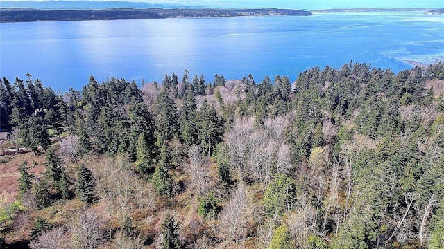 1802 Amber View Pl, Camano Island, WA 98282