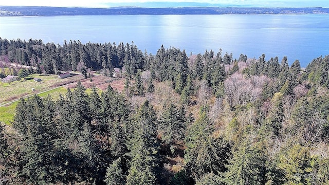 1802 Amber View Pl, Camano Island, WA 98282