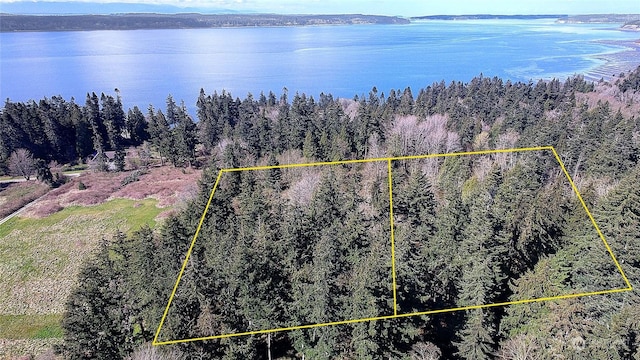 1802 Amber View Pl, Camano Island, WA 98282