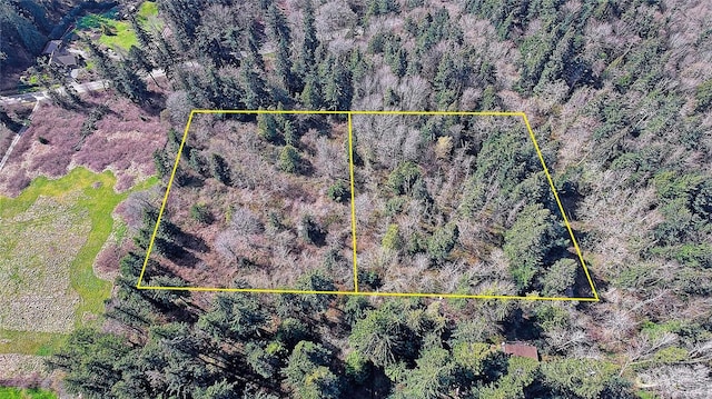 1802 Amber View Pl, Camano Island, WA 98282