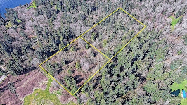 1802 Amber View Pl, Camano Island, WA 98282