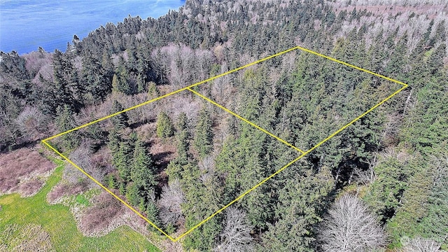1802 Amber View Pl, Camano Island, WA 98282