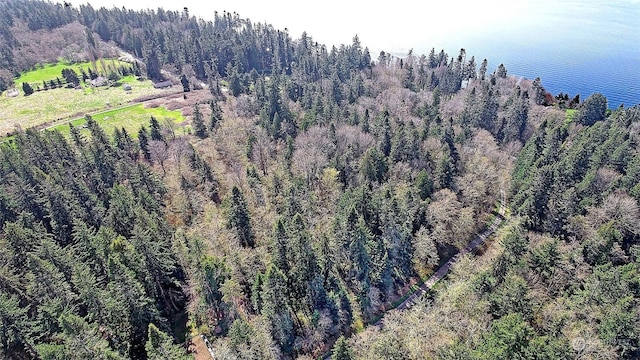1804 Amber View Pl, Camano Island, WA 98282 - photo 3