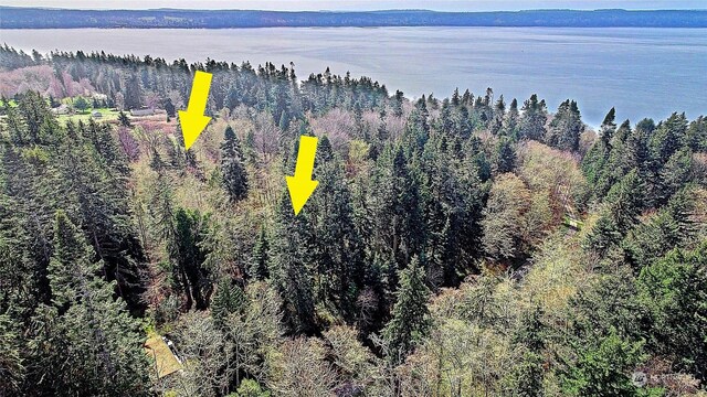 1804 Amber View Pl, Camano Island, WA 98282 - photo 1