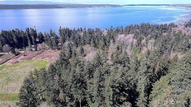 1804 Amber View Pl, Camano Island, WA 98282 - photo 6