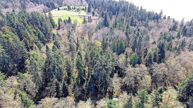 1804 Amber View Pl, Camano Island, WA 98282 - photo 7