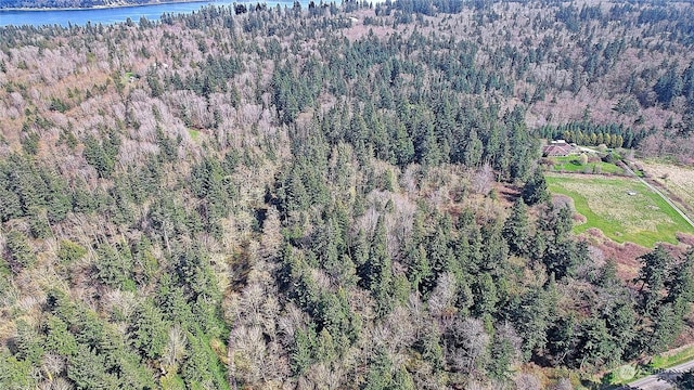 1804 Amber View Pl, Camano Island, WA 98282 - photo 10