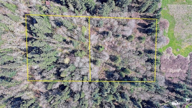 1804 Amber View Pl, Camano Island, WA 98282 - photo 11
