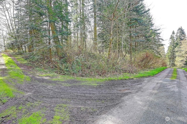 1804 Amber View Pl, Camano Island, WA 98282 - photo 16