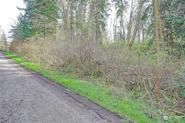 1804 Amber View Pl, Camano Island, WA 98282 - photo 18