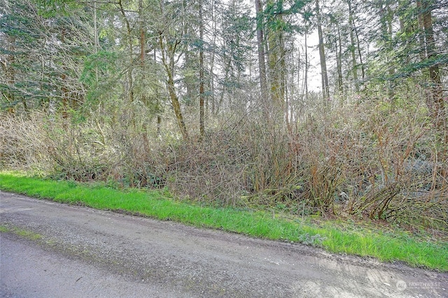 1804 Amber View Pl, Camano Island, WA 98282 - photo 19