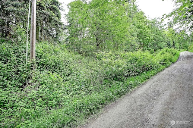 1804 Amber View Pl, Camano Island, WA 98282 - photo 20