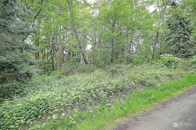 1804 Amber View Pl, Camano Island, WA 98282 - photo 21