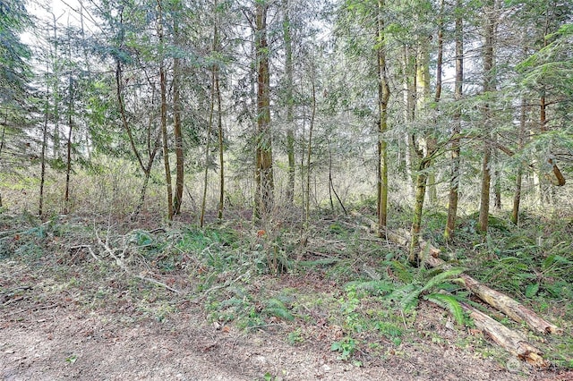 1804 Amber View Pl, Camano Island, WA 98282 - photo 29