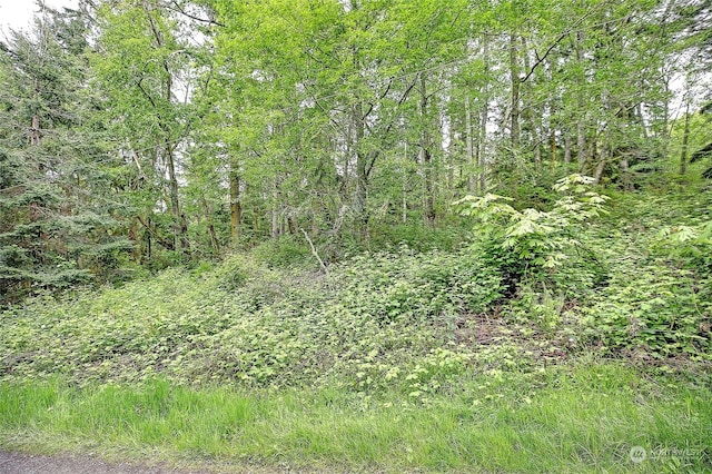 1804 Amber View Pl, Camano Island, WA 98282 - photo 33