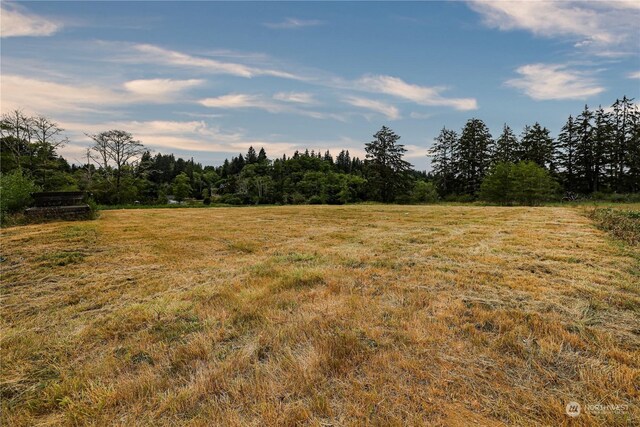 1701 Harrison, Aberdeen, WA 98520 - photo 10