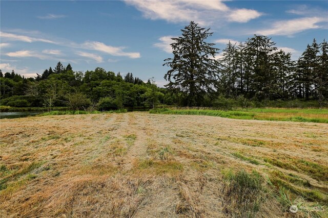 1701 Harrison, Aberdeen, WA 98520 - photo 16