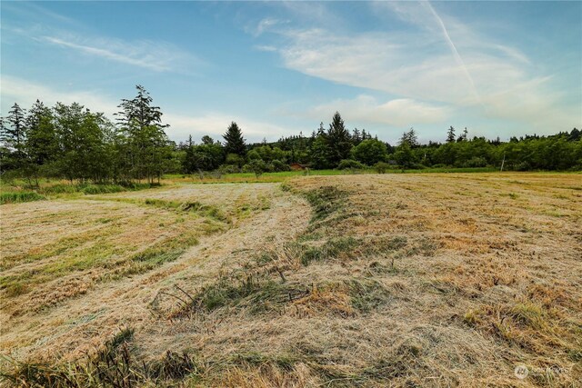 1701 Harrison, Aberdeen, WA 98520 - photo 18