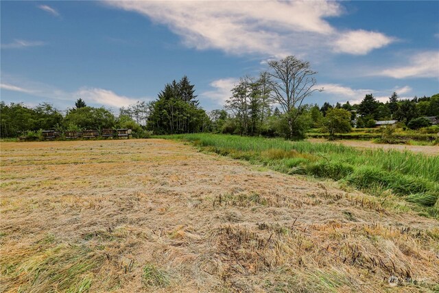 1701 Harrison, Aberdeen, WA 98520 - photo 19