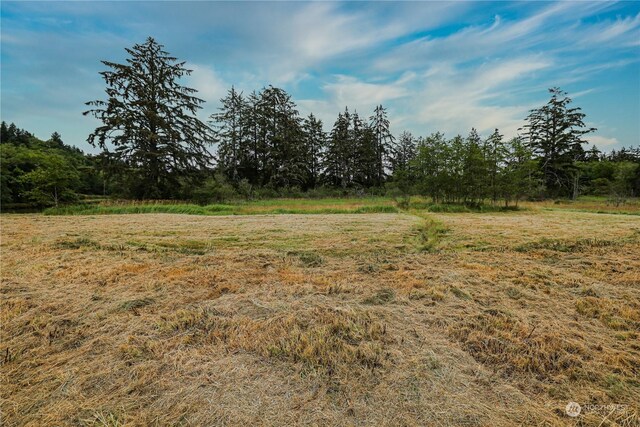 1701 Harrison, Aberdeen, WA 98520 - photo 20