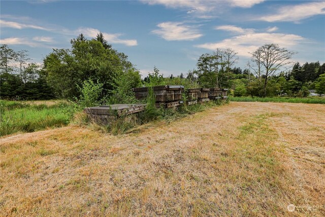 1701 Harrison, Aberdeen, WA 98520 - photo 21