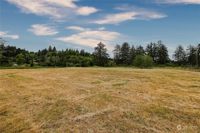 1701 Harrison, Aberdeen, WA 98520 - photo 22