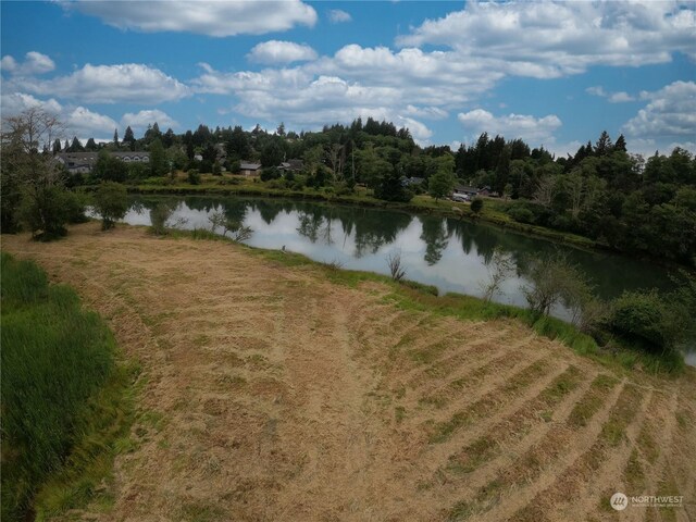 1701 Harrison, Aberdeen, WA 98520 - photo 5
