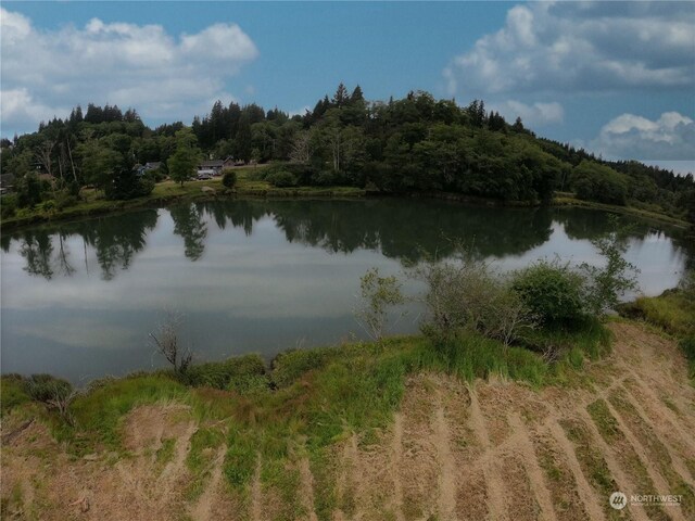 1701 Harrison, Aberdeen, WA 98520 - photo 6