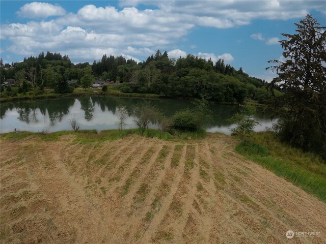 1701 Harrison, Aberdeen, WA 98520 - photo 7