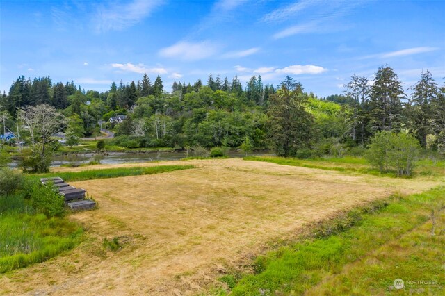 1701 Harrison, Aberdeen, WA 98520 - photo 17