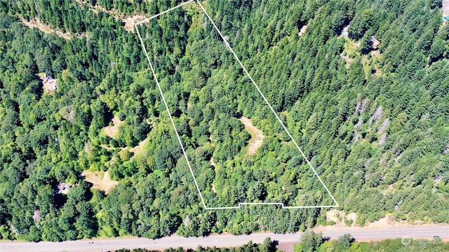 Listing photo 3 for 8ACRES N US Highway 101, Lilliwaup WA 98555