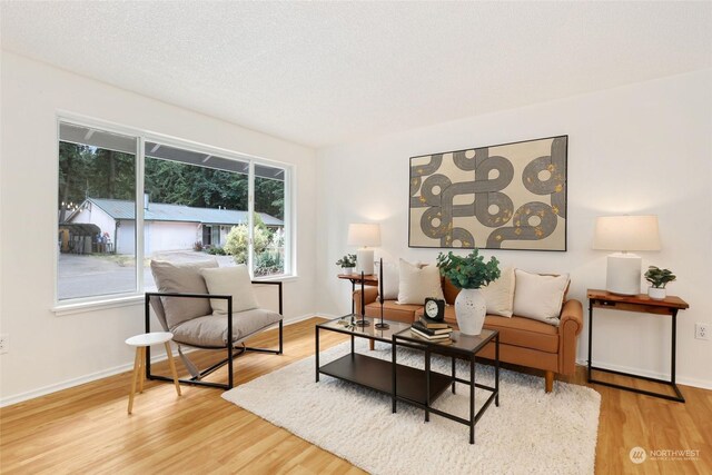 living room featuring light hardwood / wood-style flooring and a textured ceiling