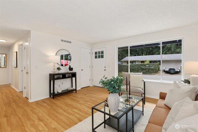 living room featuring a textured ceiling, light hardwood / wood-style flooring, and a wealth of natural light