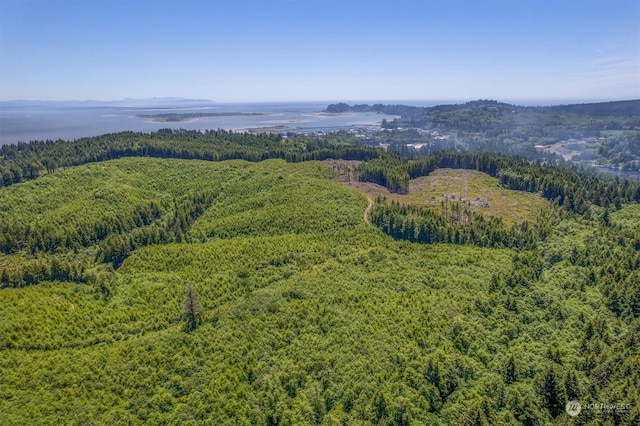 1000 Williams St, Ilwaco WA, 98624 land for sale