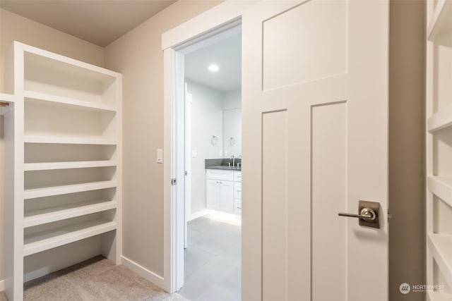 spacious closet featuring sink