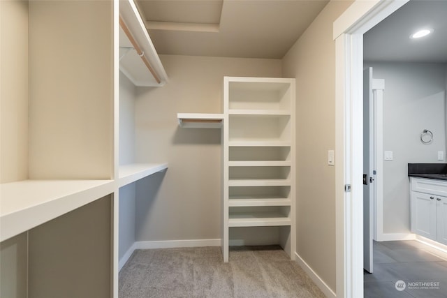 spacious closet featuring light carpet