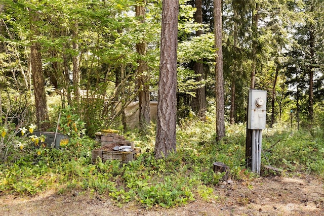 view of local wilderness