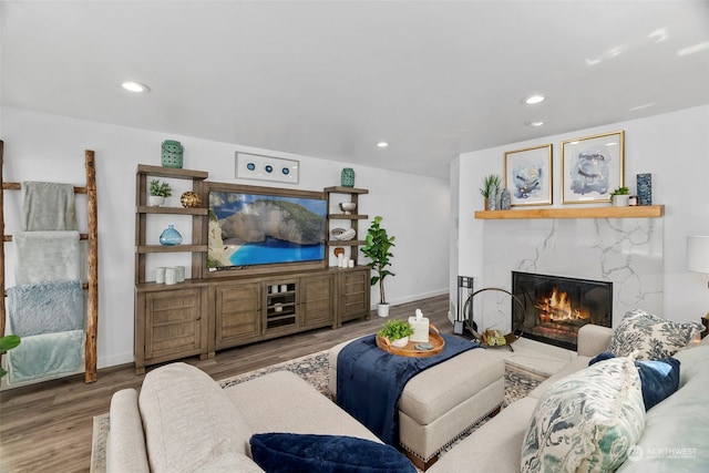 living room featuring a premium fireplace and wood-type flooring