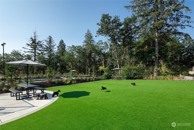 2524 Acer Loop SE, Lacey, WA 98513 - view of surrounding community