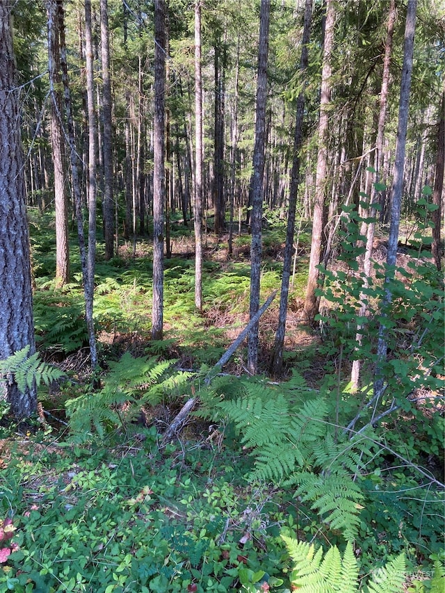 341 N Rainbow Way W, Hoodsport, WA 98548