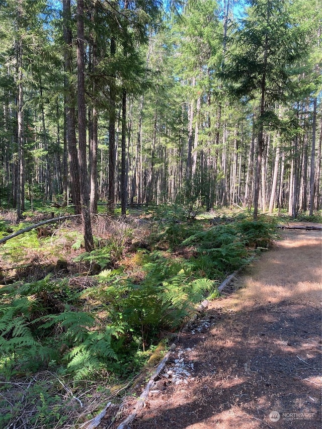 341 N Rainbow Way W, Hoodsport, WA 98548 - photo 4