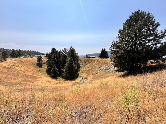 Listing photo 3 for 0LOT7 Sandpiper Way, Republic WA 99166