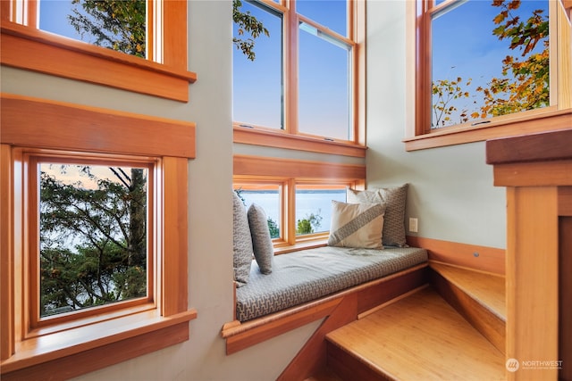 sitting room with a water view and a wealth of natural light