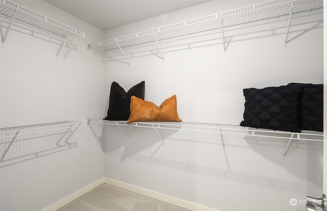 spacious closet featuring light colored carpet